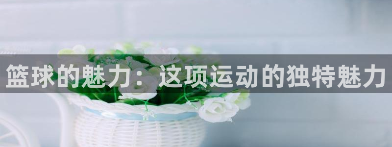oety欧亿体育官网下载招商电话号码是多少号：篮球的