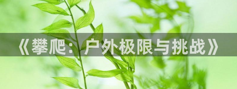 oety欧亿体育官网下载招商电话号码查询是多少：《攀