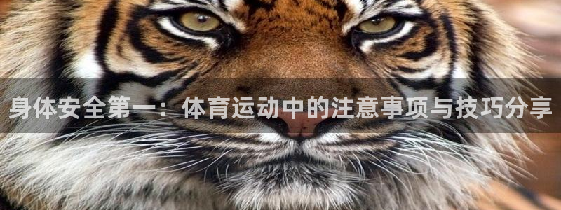 oety欧亿体育官网下载招商电话是多少号码：身体安全第一：体