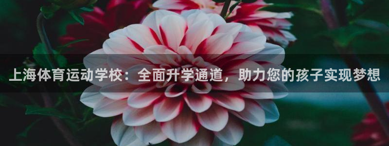 欧亿体育官方平台体育：上海体育运动学校：全面升学通道