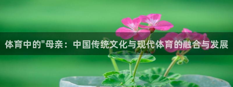 oety欧亿体育官网下载招商电话号码：体育中的\