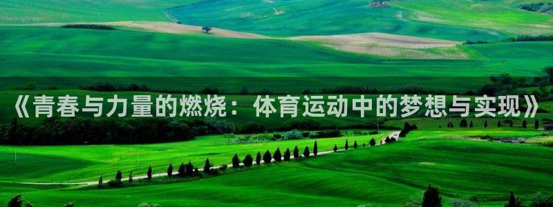 oety欧亿体育官网下载平台注册流程视频：《青春与力