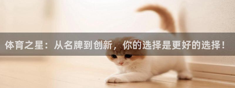 海南oety欧亿体育官网下载：体育之星：从名牌到创新