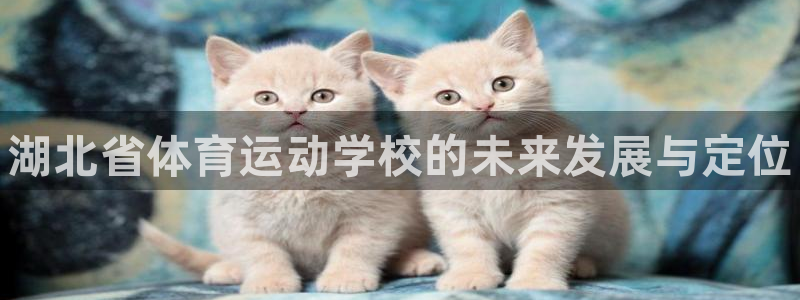 欧亿体育官方正版app代理：湖北省体育运动学校的未来
