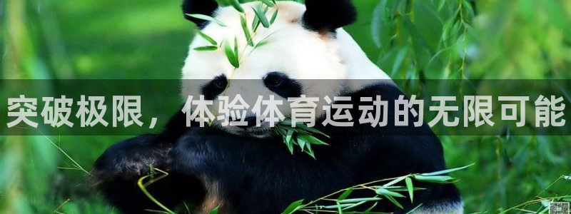 欧亿体育官方正版app娱乐网站：突破极限，体验体育运动的无限