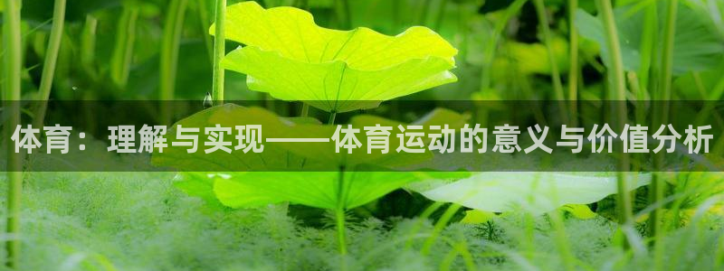 欧亿体育官方正版app科技：体育：理解与实现——体育运动的意