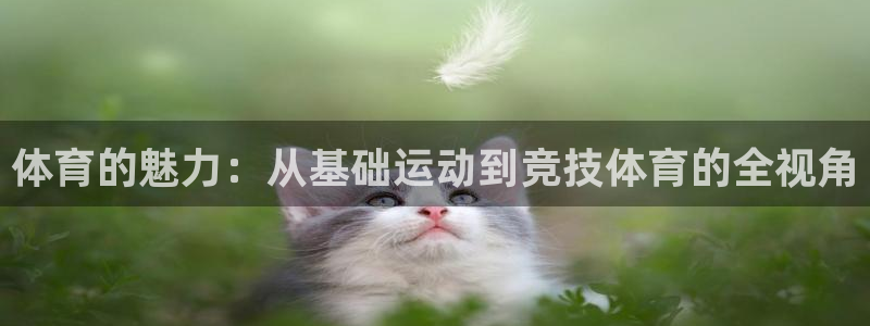 德国欧亿体育官方正版app集团：体育的魅力：从基础运动到竞技