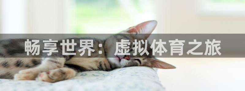 oety欧亿体育官网下载招商电话：畅享世界：虚拟体育之旅