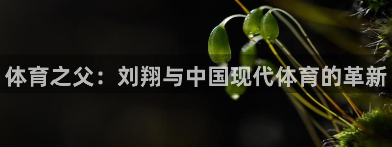oety欧亿体育官网下载平台注册要钱吗：体育之父：刘翔与中国