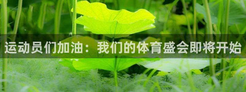oety欧亿体育官网下载平台是正规平台吗安全吗