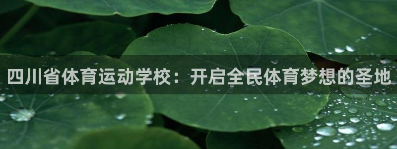 欧亿体育官方正版app新能源