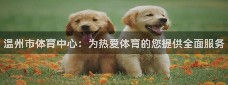 欧亿体育官方正版app娱乐是那个系列的台子