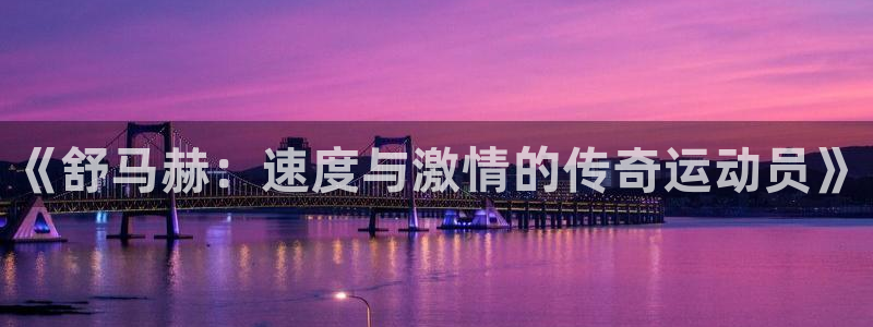 欧亿体育官方正版app娱乐代理怎么样：《舒马赫：速度与激情的