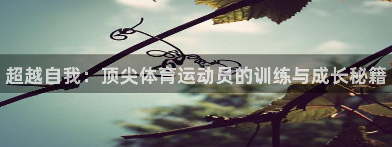 oety欧亿体育官网下载平台：超越自我：顶尖体育运动员的训练