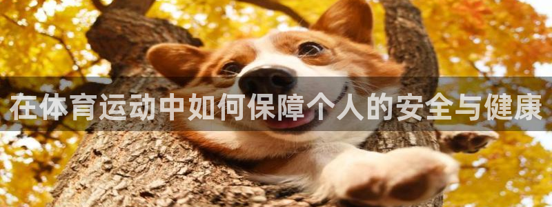 海南oety欧亿体育官网下载发展怎么样：在体育运动中如何保障