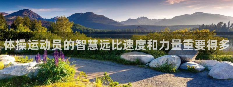 oety欧亿体育官网下载招商电话是多少：体操运动员的智慧远比