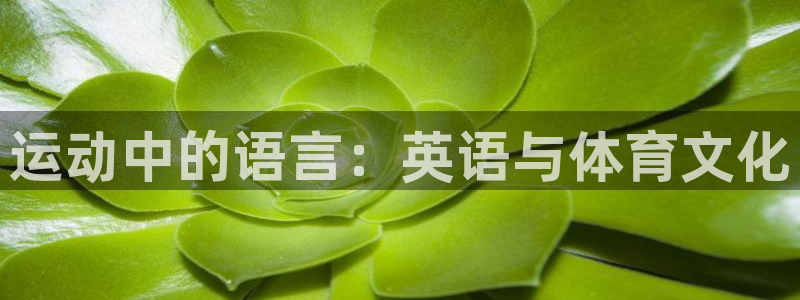 oety欧亿体育官网下载平台注册要钱吗安全吗：运动中的语言：