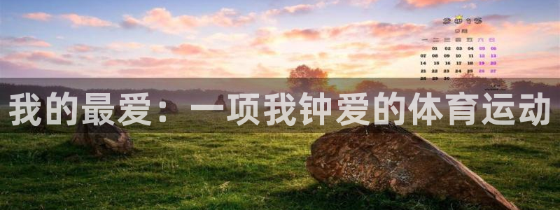 欧亿体育官方正版app新能源：我的最爱：一项我钟爱的体育运动
