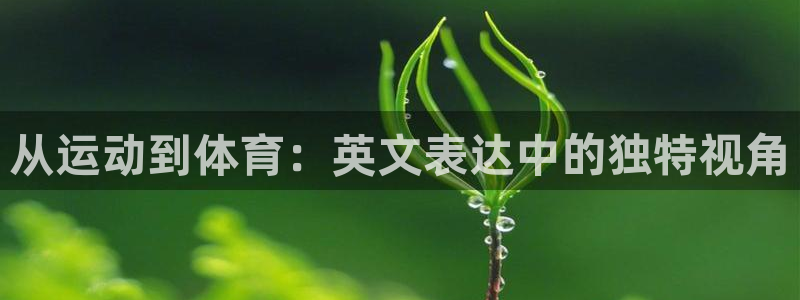 oety欧亿体育官网下载平台注册流程视频：从运动到体