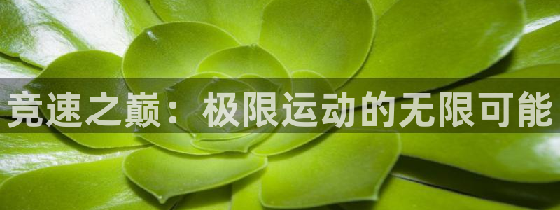 欧亿集团：竞速之巅：极限运动的无限可