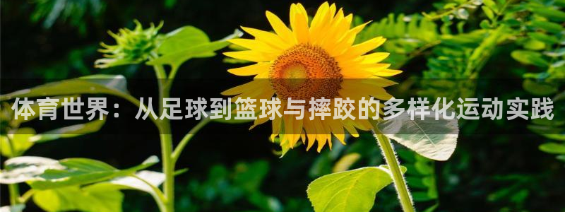 欧亿平台官网下载.官网app.中国：